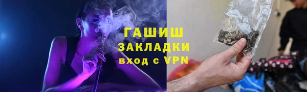молекула духа Арсеньев