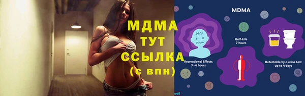 молекула духа Арсеньев