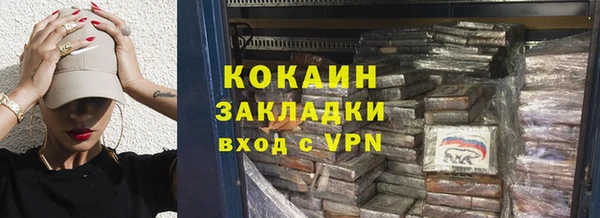 молекула духа Арсеньев