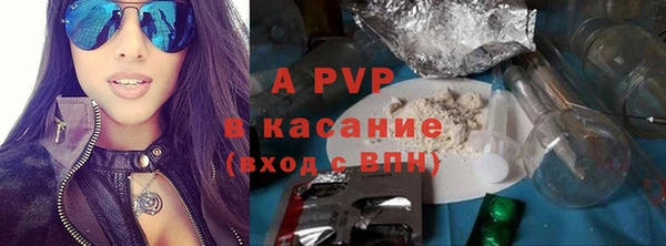 молекула духа Арсеньев